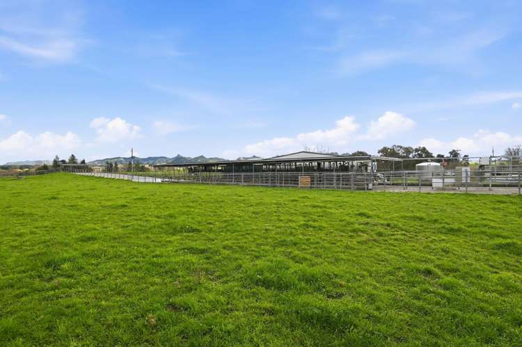 365 Halcrow Road Reporoa_9