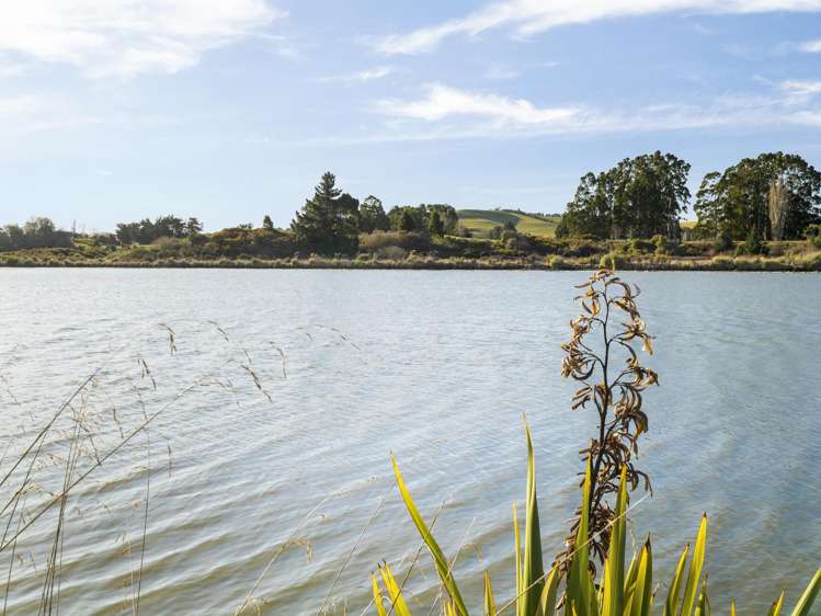 47 Stewart Street Waikouaiti_20