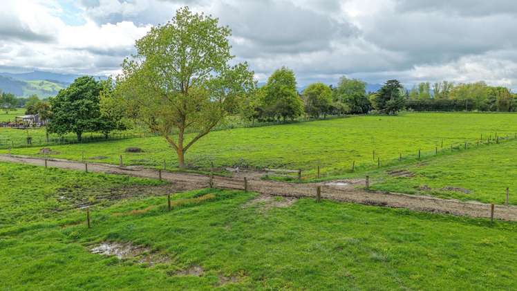 264 Matatoki Road Matatoki_20