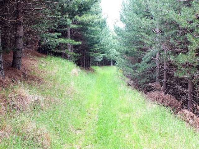 571a Mcqueens Valley Road Gebbies Valley_3