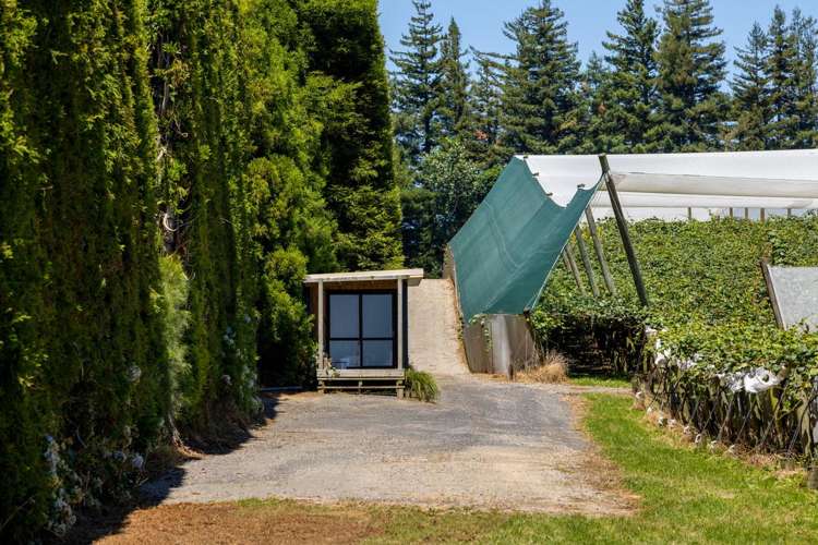 140C Wharawhara Road Tahawai_5