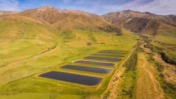 Address withheld Middlemarch_7