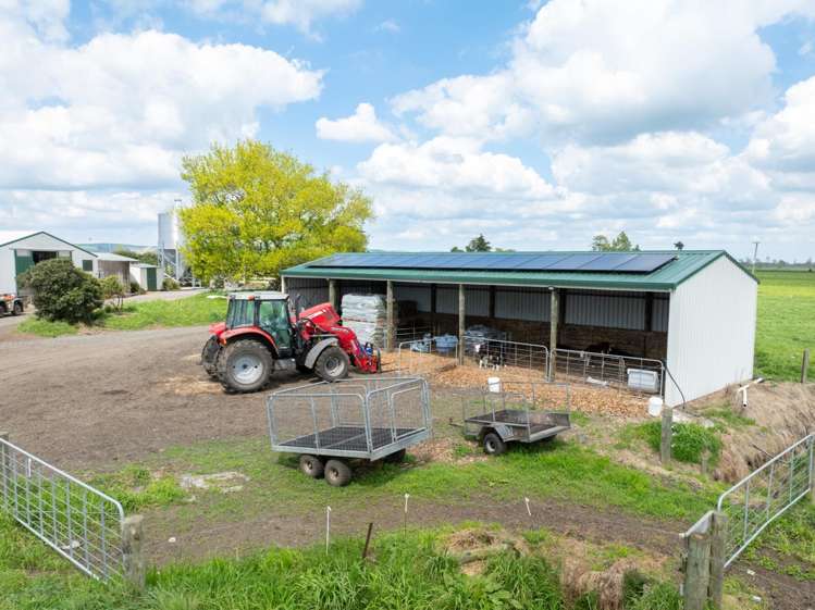 1001 Piako Road Gordonton_16
