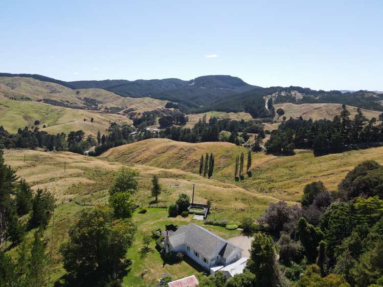 Esdaile Road Dannevirke_21