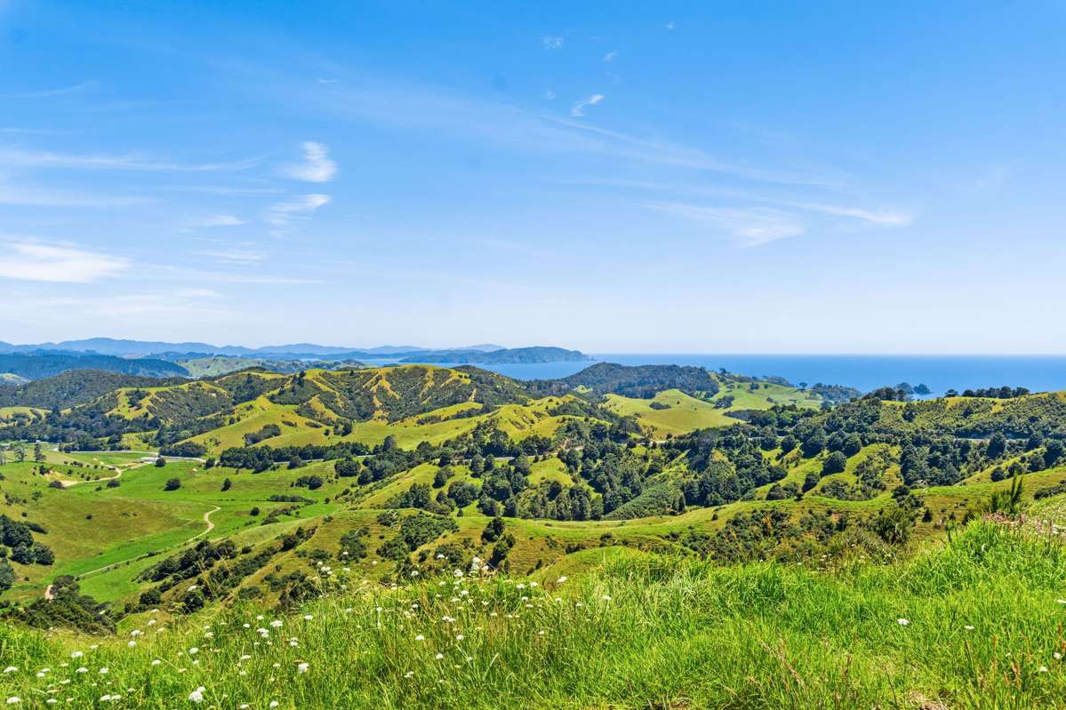 Lot Lot 2/334 Webb Road_4