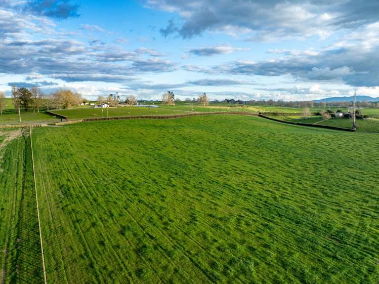 - Puketutu Road Matamata_12