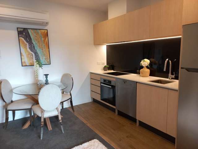 315/428 Dominion Road Mt Eden_1