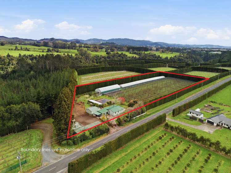 1040 Te Matai Road Te Puke_3