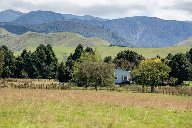 487 France Road Rangitikei Surrounds_1