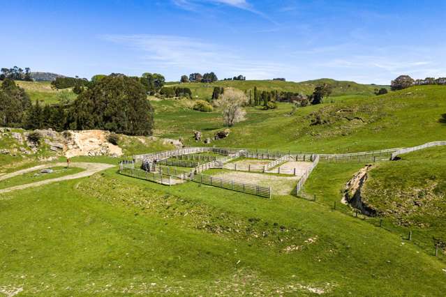 1262 - 1520 Maraetotara Road Waimarama_4