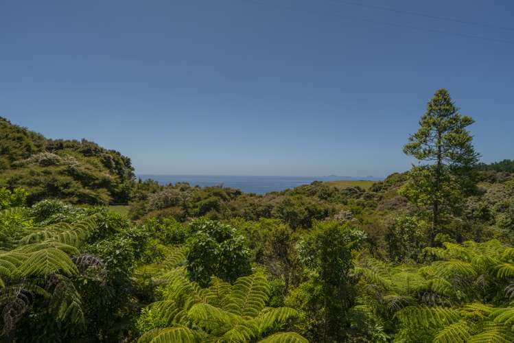 595 Boat Harbour Road, Whenuakite Tairua_8