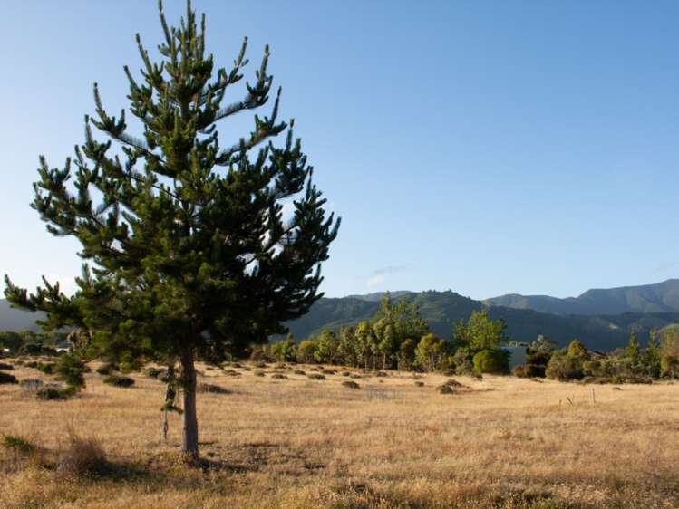 46 Edgewater Place Rarangi_8