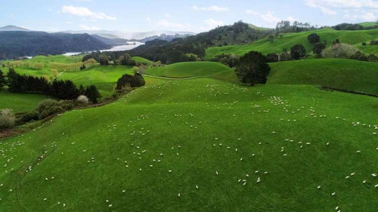 Coates Road Waikite Valley_6