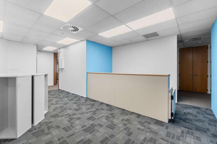 21 Clifton Road Hamilton Central_16