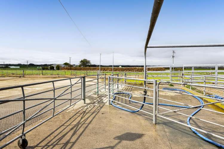 0n Ngarongo Road Normanby_16