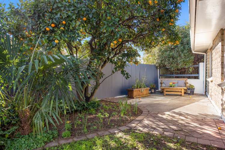 232 Scott Street Redwoodtown_18