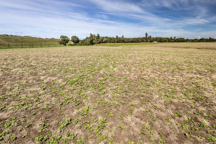 Lot 13 Matapuna Road Horopito_6