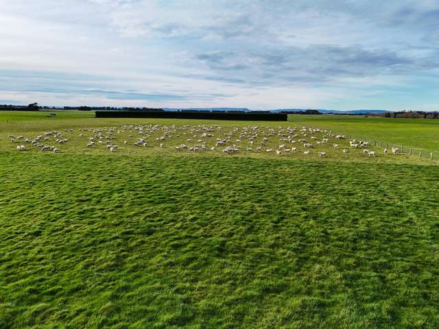 677 Waituna Road Oteramika_1