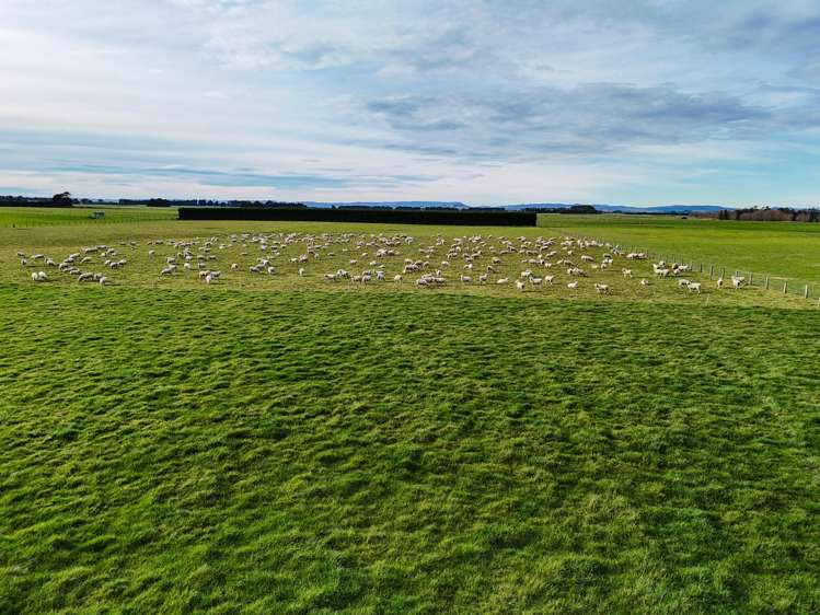 677 Waituna Road Wyndham Surrounds_1