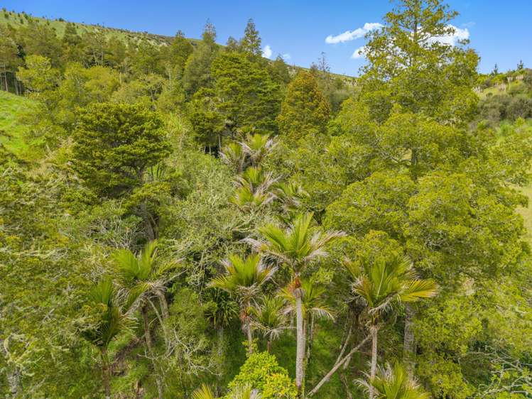 Te Kowhai Road Matakohe_16