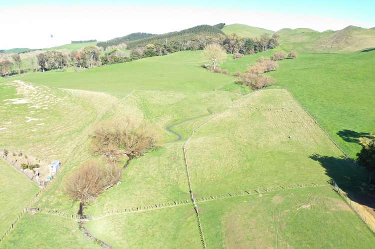 Lot 1and2 324 Homewood Road Waipawa_13