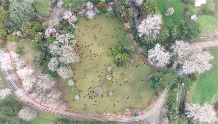Lot 1 Huarau Road Maungaturoto_6