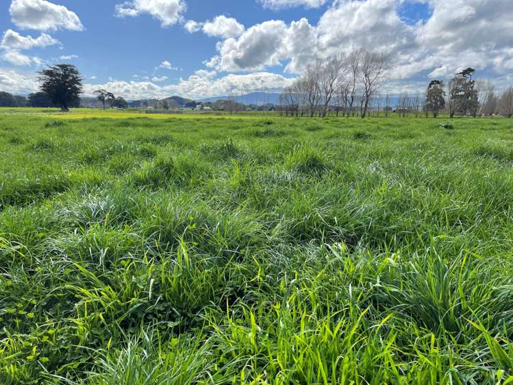 Middle Road Pahiatua_0