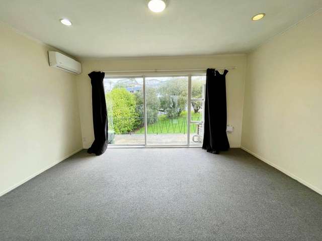 11/4 Tahora Avenue Remuera_1