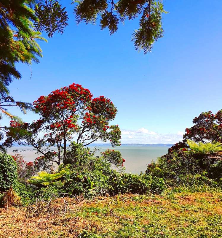 50 Cliff View Drive Green Bay_19