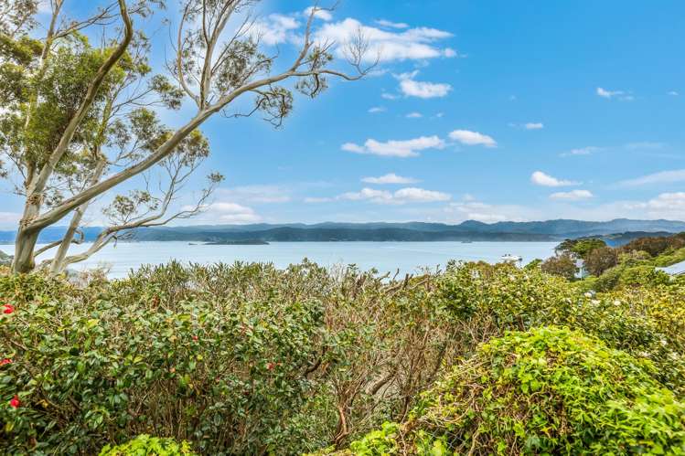 72 Anne Street Wadestown_2