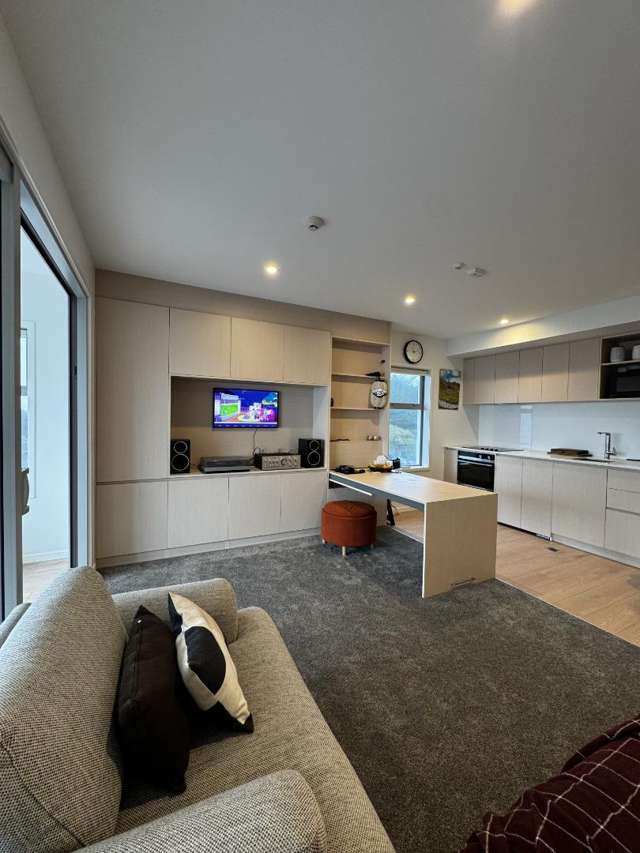 207/87 Marine Parade North New Brighton_1