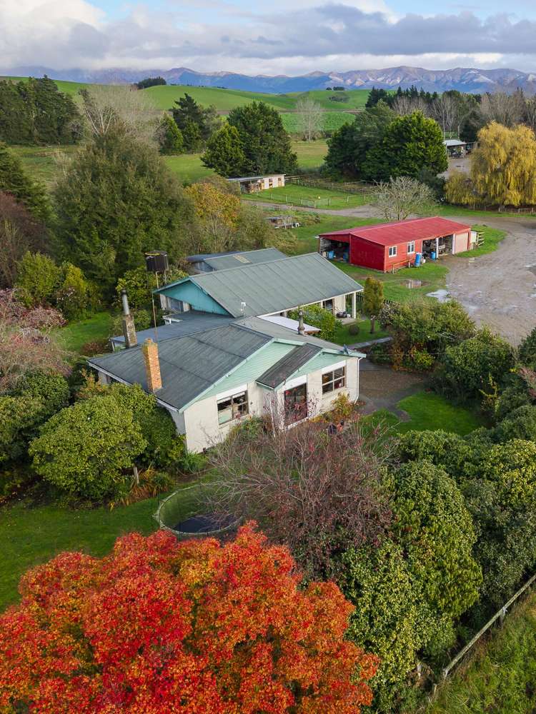 315 Woolshed Valley Road Otaio_7