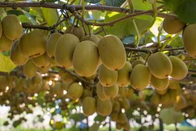 416 State Highway 2_1