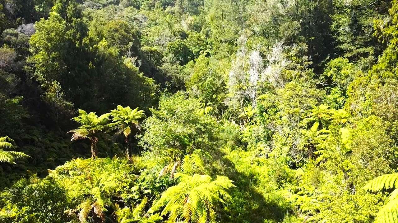 State Highway 67 Waimangaroa Buller Houses for Sale One Roof