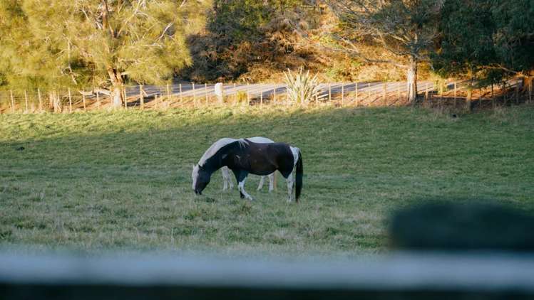 40 Farquharson Road Hunua_26