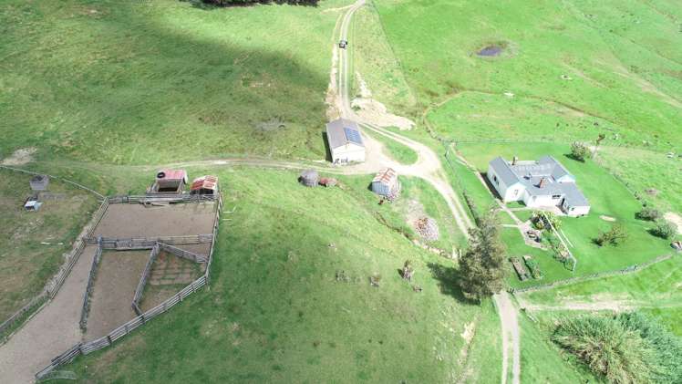 109 Paponga Road Broadwood_13