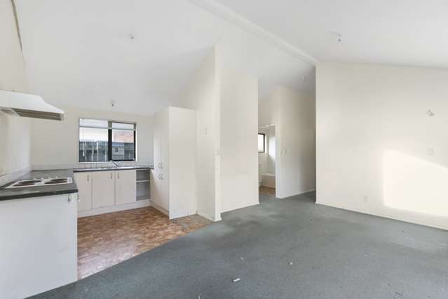 22a Rex Street Miramar_1