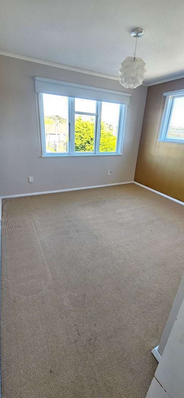 23 Jillett Street Titahi Bay_5