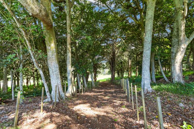 1027 State Highway 14 Maungatapere_20