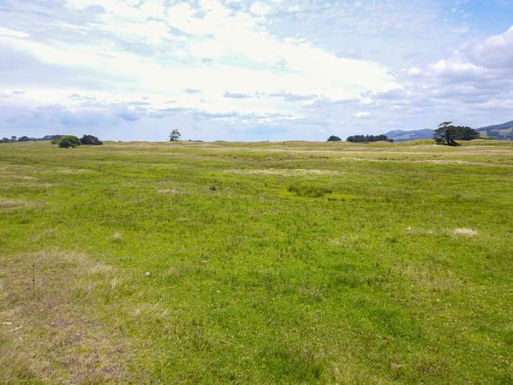 Takahe Street Masterton_17