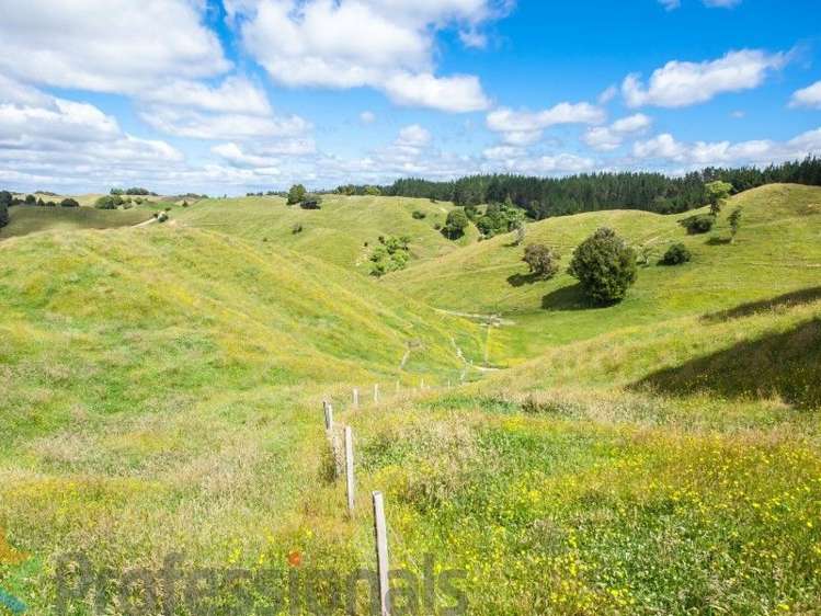 1788 Manawahe Road Manawahe_28