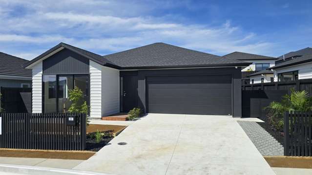 Brand-New, Sun-Filled Family Living