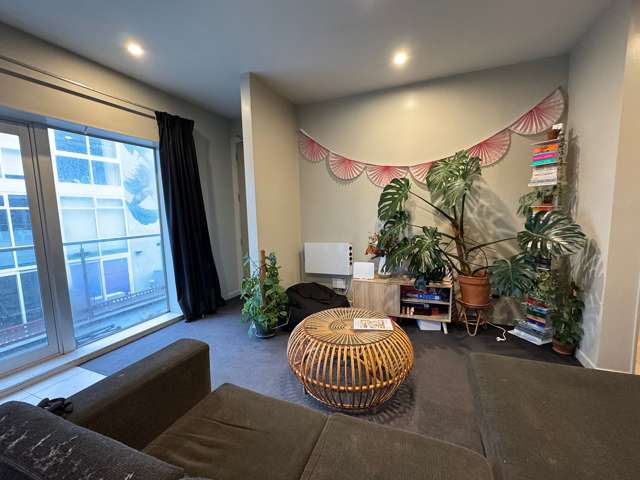 Large bedroom with kitchen in Mt Vic