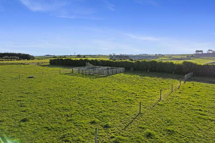 0n Skeet Road Te Roti_13