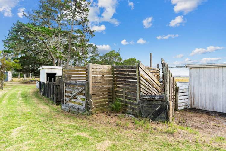 1091 Pouto Road Dargaville_18