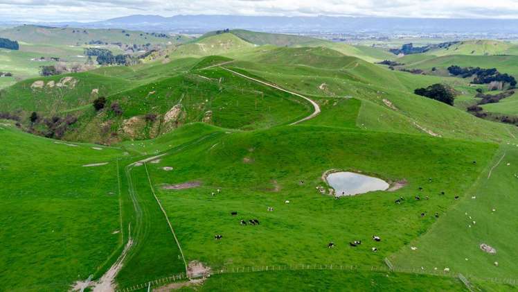 30 Mangahei Road Dannevirke_16