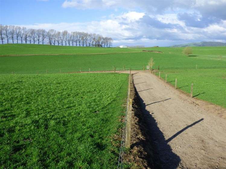 203/219 Paewhenua Road Maihiihi_17