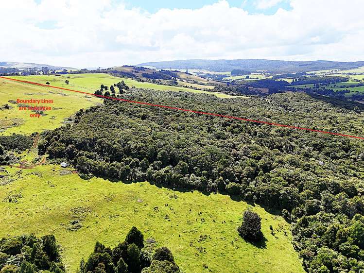 870 Marlborough Road Dargaville Surrounds_10