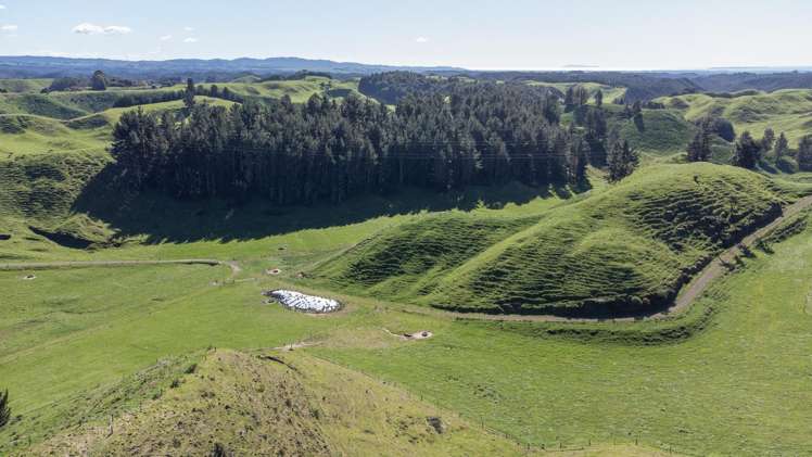 248 Lichenstein Road Okere Falls_17