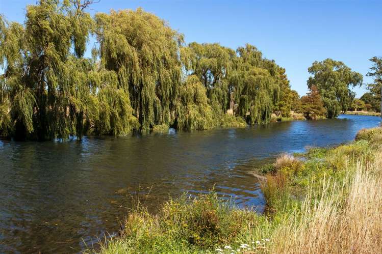 85 Banks Avenue Dallington_16